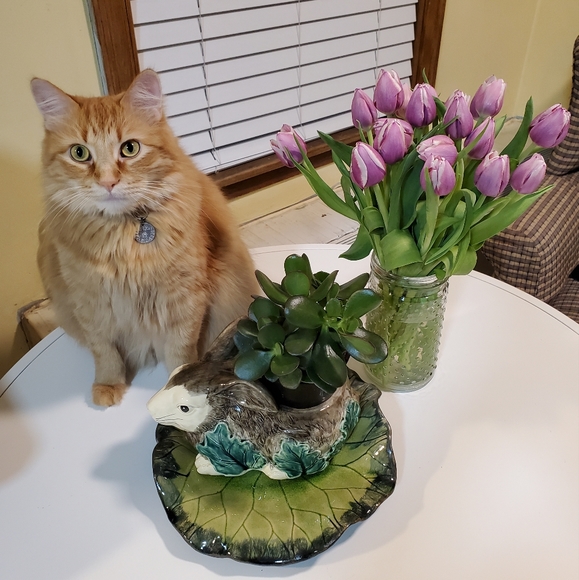 Meet your Posher, Dana - Picture 10 of 10